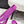 JC Emeri Stone Sandals 3cm Purple Suede Leather 880814