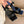 CC 26A Camellia Double C Square Toe Mules 10cm Black Stone-Grain Cowhide 888704