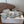 Loew Paula's Ibiza Petal Flower Flat Sandals Silver Leather 889894
