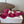 Loew Paula's Ibiza Petal Flower Flat Sandals Pink Leather 889892