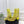Alaia Boots 5.5cm Fishnet Ankle Boots Yellow Mesh Patent Leather 892044