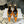 YSL Cosmo Crystal Mules 100mm Orange Calfskin Leather 894613