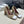 CC Cap Toe Pumps 90mm Leopard Beige White Pony Hair & Patent Leather 896860