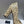 CC Cap Toe Pumps 90mm Leopard Beige White Pony Hair & Patent Leather 896860