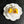CC Lemon Stud Earrings Yellow Enamel 659651
