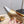 CC Métiers d’art 2026 Slingbacks 9.5cm Gold Metallic Lambskin 898983