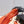 CC Métiers d'Art 2026 Slingback Flats Coral Orange Lambskin 898975