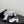 CC Square Toe Slingback Pumps Black White Leather 915053