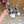 CE Clémence Triomphe Heeled Sandals White Leather 949367