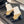 CC Sock Ankle Boots Block Heel 6cm Beige Black Suede Knit 958123