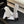CC Ankle Boots White Square Toe White Black Mesh Patent Leather 958068