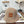 LW Bucket Hat 215945
