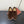 LP Summer Walk Loafers Dark Brown Suede 984716