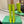 BLC Cagole Knee-High Boots 9.5cm Neon Green Leather 985499