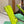BLC Cagole Knee-High Boots 9.5cm Neon Green Leather 985499