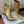 BM 26S Roni Ankle Boots 10.5cm Gold Buttons Gold Metallic Leather 111334
