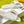 LW 26S Origami Slide Sandals White Leather 137666