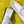 Miu 26S Mary Jane Ballerina Flats Buckle White Cowhide 137196