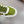 GG SNEAKER WHITE GREEN NAPPA LEATHER 194553