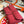 HM Jige 29 Berry Red Epsom 229077