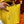 HM PICOTIN LOCK 22 LEMON EPSOM WITH BRAID STRAP