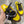 PRA 26S Mule Sneaker Yellow Brown Suede Canvas