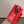 HM EVELYNE MINI 18 RED TOGO