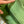 HM KELLY MINI POCHETTE 22 GREEN EPSOM