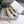 JAdior slingback flat all white embroidered cotton