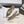 JAdior slingback flat beige full diamond crystal and seude