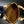 ALMA BB 23 IN BROWN MONOGRAM CANVAS AND BEIGE CALFSKIN TRIM GOLD BUCKLE