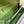 CONSTANCE TO GO 20.5 GREEN EPSOM SILVER HARDWARE