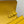 CONSTANCE TO GO 20.5 YELLOW EPSOM GOLD HARDWARE