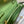 kelly woc 20.5 green epsom gold hardware