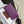 kelly woc 20.5 purple epsom gold hardware