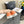 CC 26s Sneaker Orange Canvas 868471