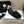 CC 2021 Logo Mules Black Quilted Lambskin 688660