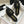CC 26s Wooden Slippers Black Tweed Lambskin 916899