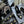 SL CHARLOTTE GOLD STAR PUMPS BLACK SUEDE
