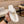CD ALIAS THONG SANDAL WHITE CALFSKIN