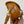 BOBBY EAST-WEST 22 BAG IN CHOCOLATE BROWN CALFSKIN