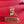 Kelly Danse II 22cm Red Evercolor Leather Ghw