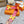 SANTORINI SANDAL PINK MIX LEMON CALFSKIN