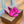 Summer Charms Mules 80 Hot Pink Suede Pink Lambskin