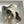picotin lock 18 ivory togo shw
