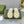 GG PLATFORM PERFORATED G SANDAL CREAM IP FOAM