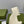 GG PLATFORM PERFORATED G 55 SANDAL CREAM IP FOAM