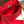 Herbag 31 Toile Red Canvas Gold Cowhide Leather