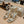 Jimmy 25 Azia 95 Platinum Ice Dusty Glitter Fabric 240077