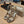 Jimmy 25 Azia 95 Beige Snakeskin Pattern Lambskin 240078